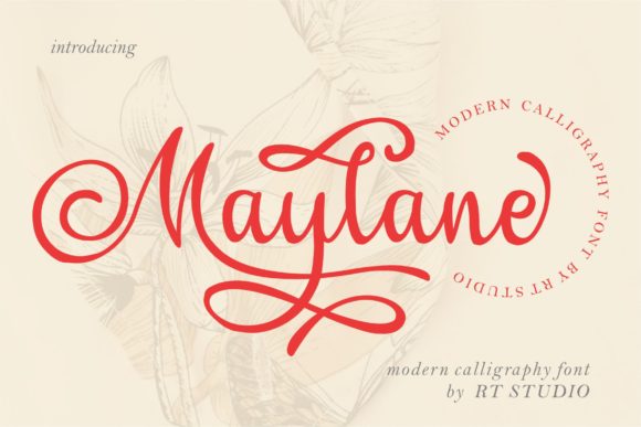 Maylane: A Font That Brings Words to Life